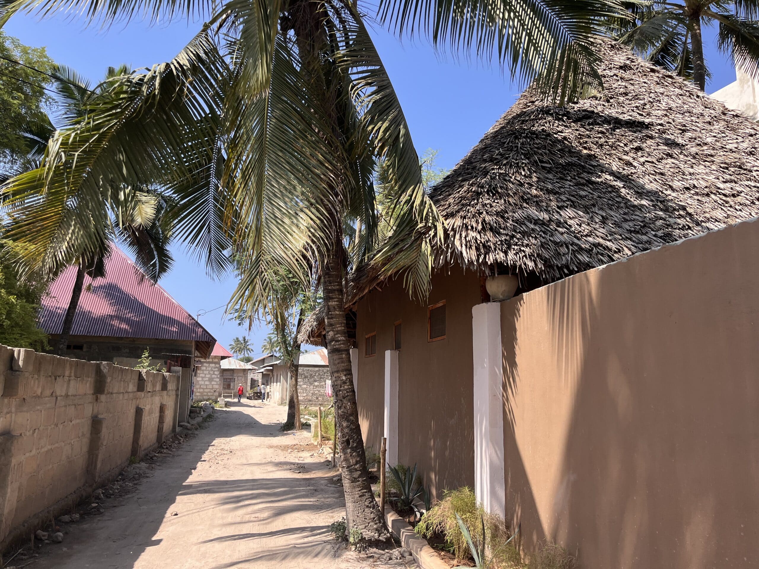 Bungalow exterior along a sandy street lined with palm trees in Zanzibar.