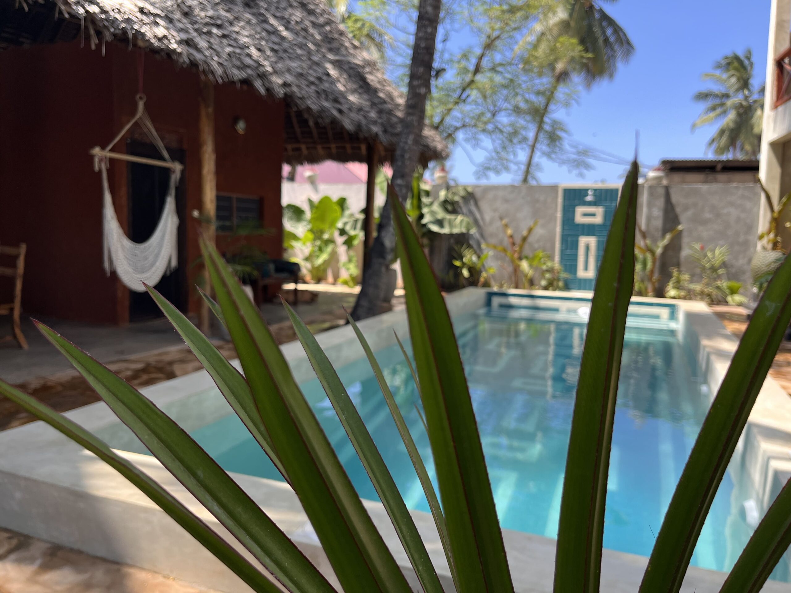 Private pool with a turquoise outdoor shower and tropical plants in Zanzibar.