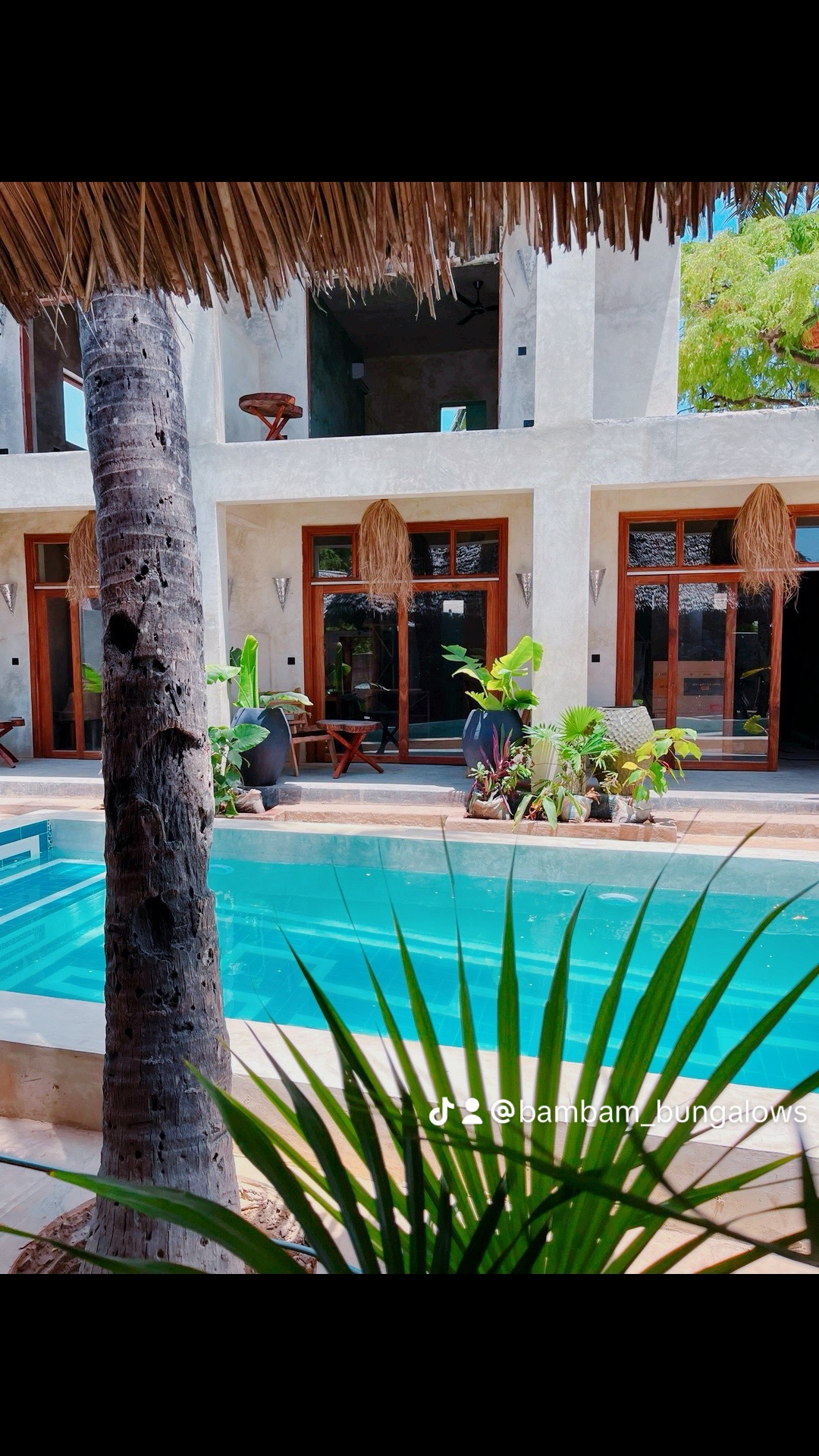 Front view of private swimming pool at Zanzibar bungalow surrounded by tropical plants.
